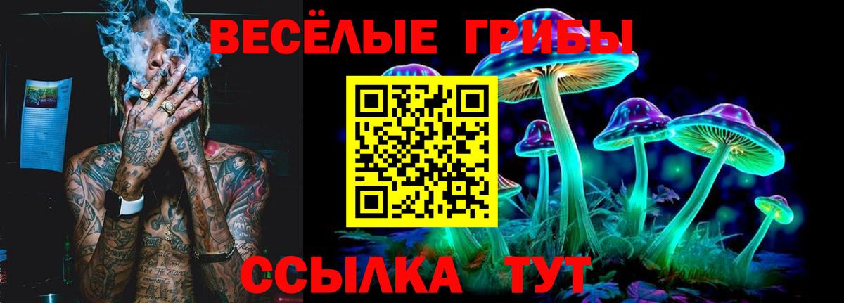 Псилоцибиновые грибы ЛСД Междуреченск