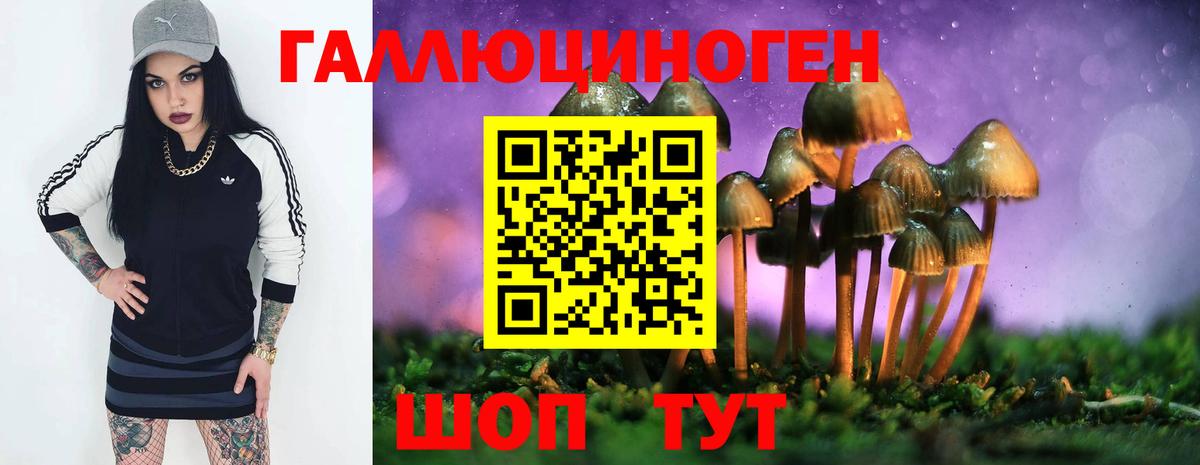 Междуреченск  Псилоцибиновые грибы Cubensis  Псилоцибиновые грибы Psilocybine cubensis  Вход с VPN 